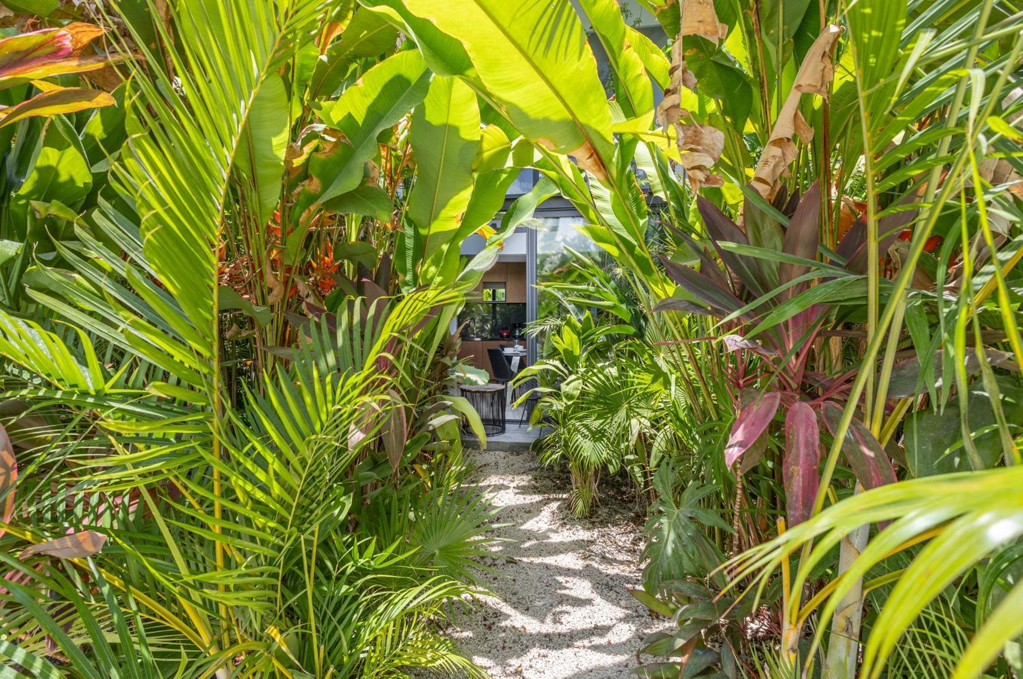 Apartament Mistiq Gardens Tulum Zewnętrze zdjęcie