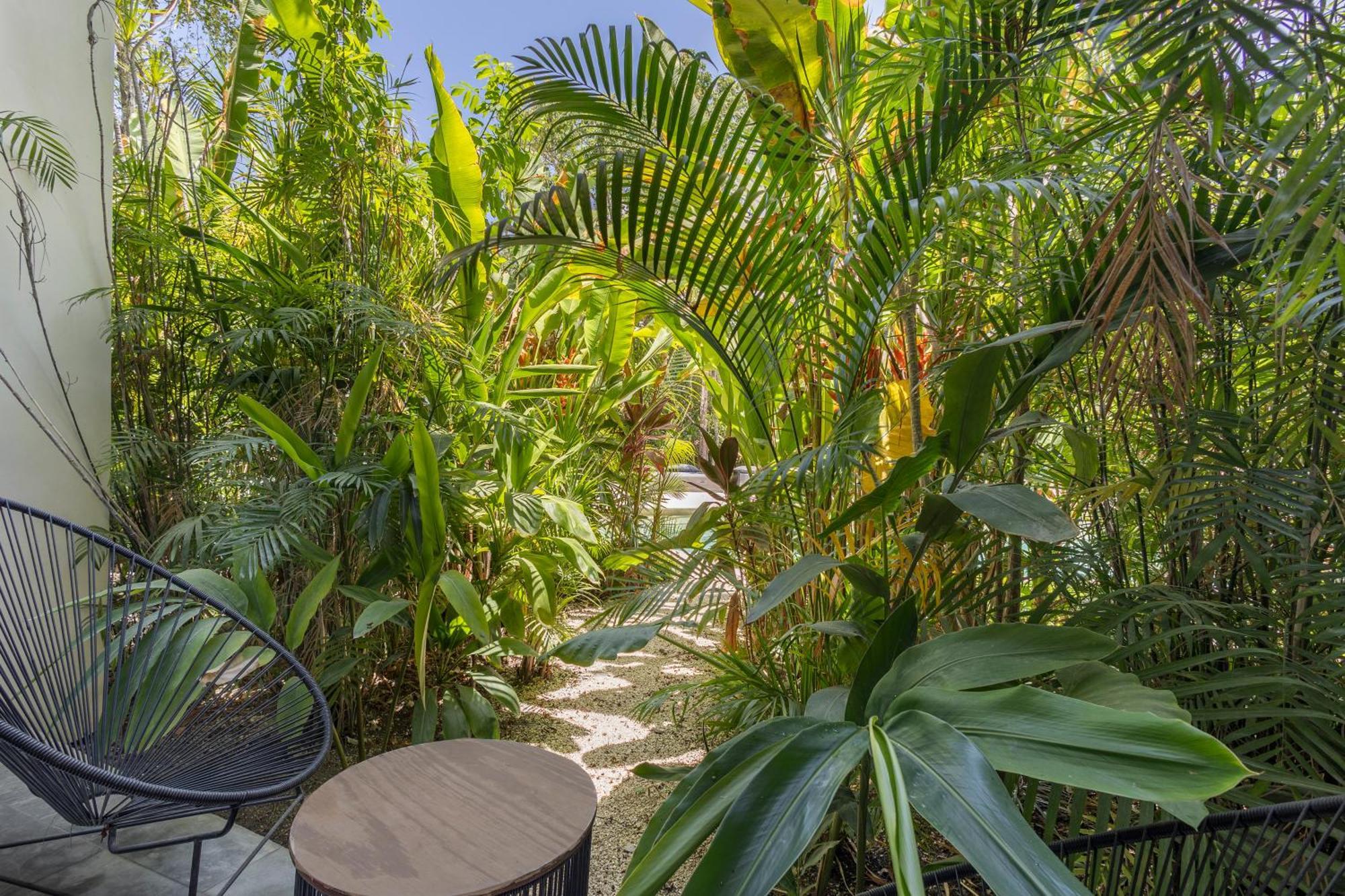 Apartament Mistiq Gardens Tulum Zewnętrze zdjęcie